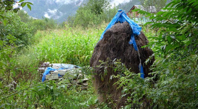 Kasol, on the Road to Manikaran. Parvati Valley