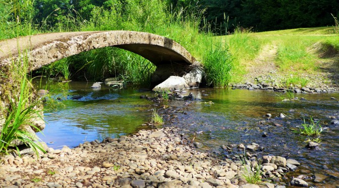 Wandern: Naturtour Nidda