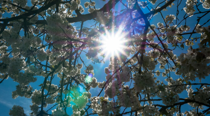 Frühling 2022